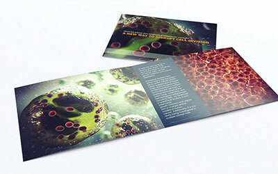 Яркий дизайн брошюры с изображением вещества под микроскопом